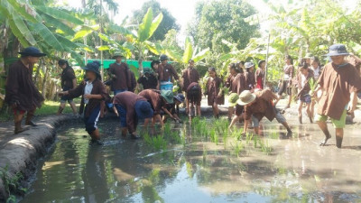 Một ngày trải nghiệm làm nông dân