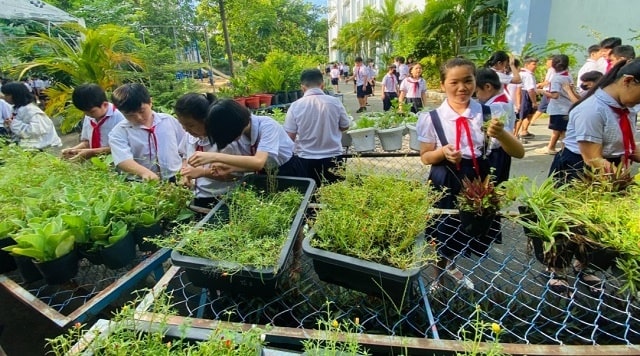 Trường Tiểu học Chánh Nghĩa phát động phong trào trồng cây “đời đời nhớ ơn Bác Hồ” năm 2025